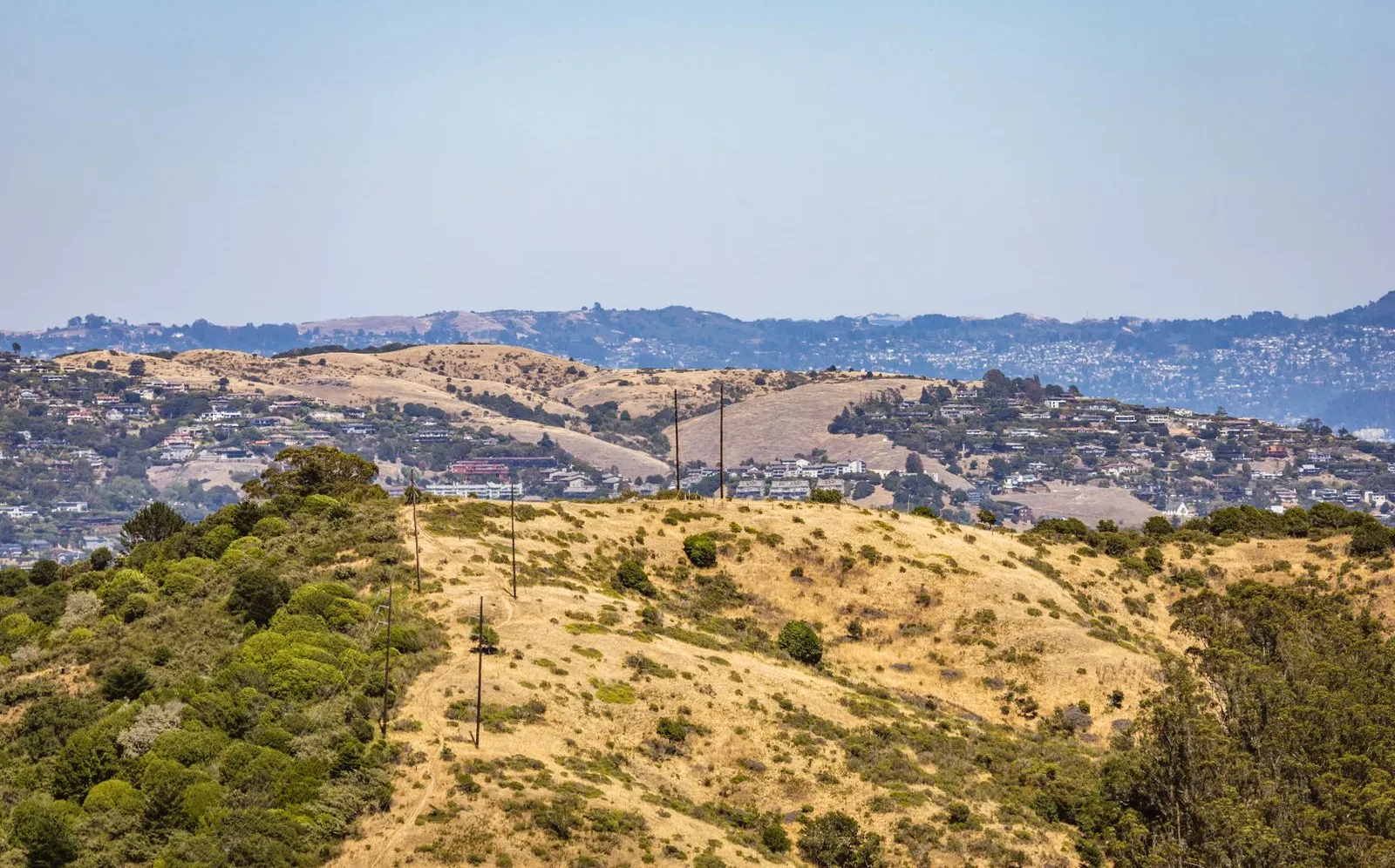Homes built along golden rolling hills in California under a clear sky
